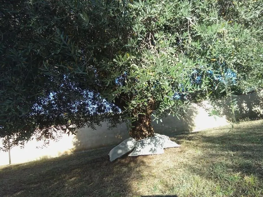 Residenza Nella Campagna Di Roma Capitale. Villa